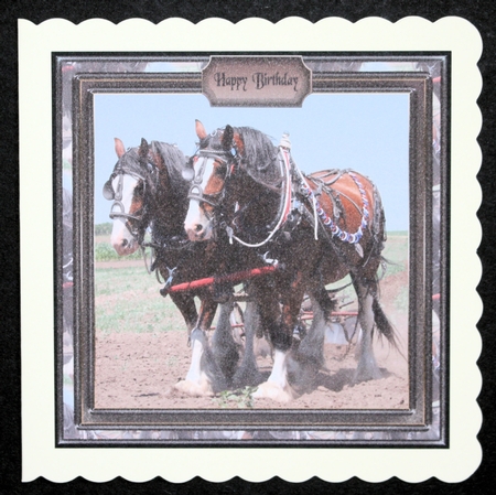 Clydesdale Horses by Marion Kimberley-Scott