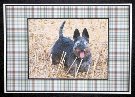 Plaid Pattern 15 x Backing Paper kit by Marion Kimberley-Scott