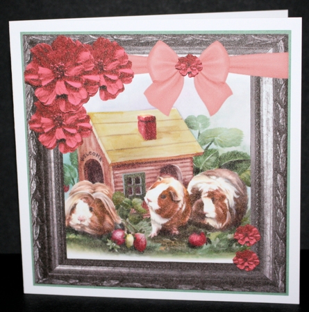 Birthday Girl Guinea pigs Cute Card by Marion Kimberley-Scott