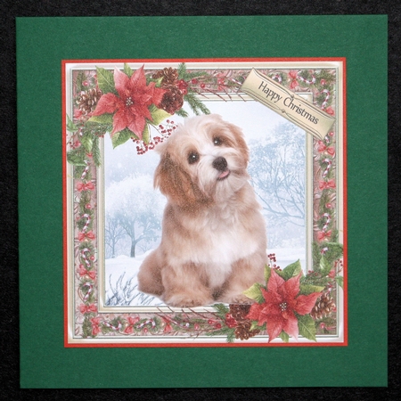 Gorgeous Fluffy Brown Dog Christmas 6x6 by Marion Kimberley-Scott