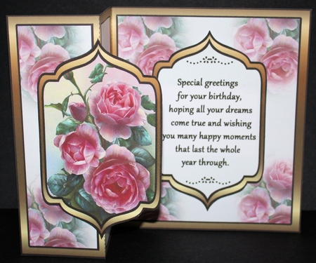 FBG Pink roses by Marion Kimberley-Scott
