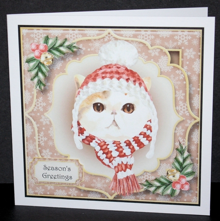 Gorgeous Christmas Cat - Ginger & White 8x8 by Marion Kimberley-Scott
