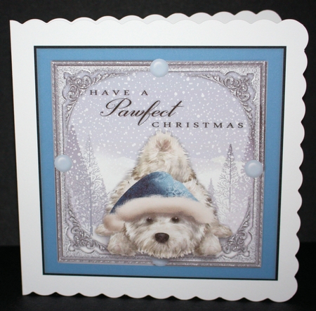 A Pawfect Christmas  by Marion Kimberley-Scott