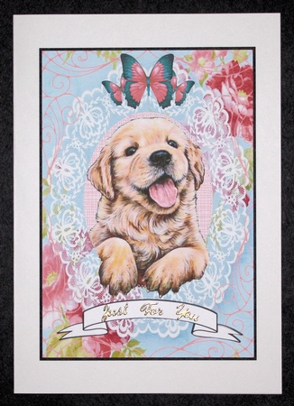 Lacy Labrador by Marion Kimberley-Scott