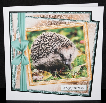MULTI SENTIMENTS STASH HEDGEHOG by Marion Kimberley-Scott