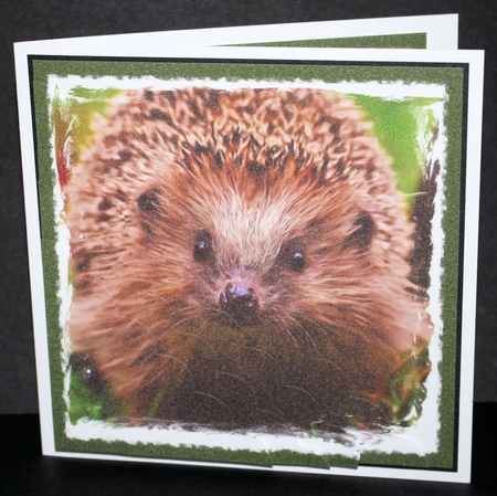Hedgehog Scalloped Corner by Marion Kimberley-Scott