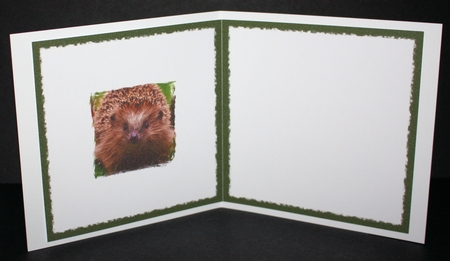 5x5 Hedgehog Insert by Marion Kimberley-Scott
