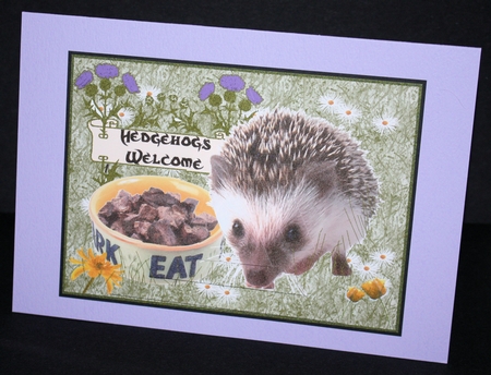 HEDGEHOGS WELCOME by Marion Kimberley-Scott