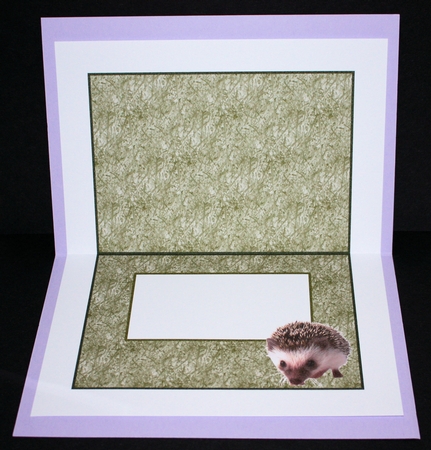 HEDGEHOGS WELCOME INSERT by Marion Kimberley-Scott