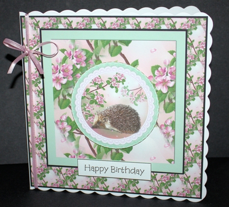 Spring Hedgehog - MixnMatch Card by Marion Kimberley-Scott