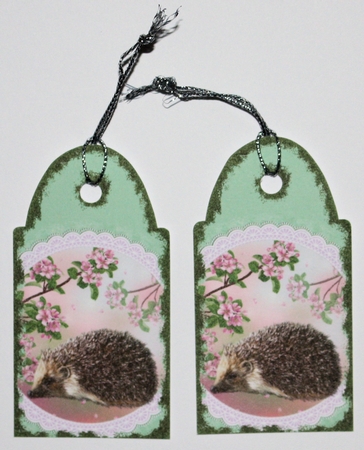 Spring Hedgehog - MixnMatch Card by Marion Kimberley-Scott