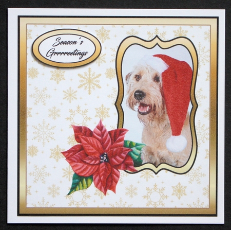 Doggy Christmas by Marion Kimberley-Scott