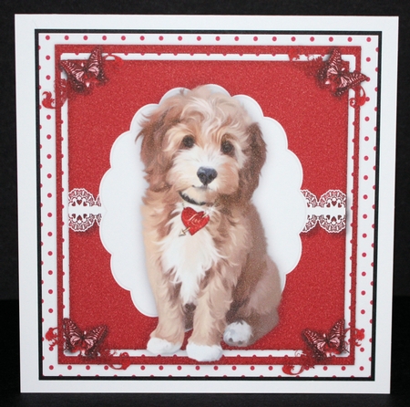 Beautiful Love Pup and Butterflys  by Marion Kimberley-Scott
