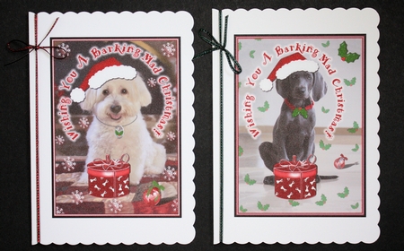 Barking Mad Christmas 1 by Marion Kimberley-Scott