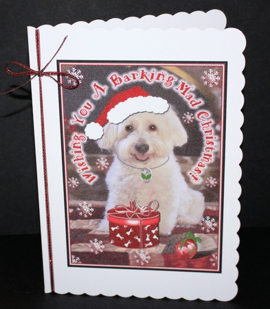 Barking Mad Christmas 1 by Marion Kimberley-Scott