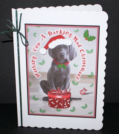 Barking Mad Christmas 1 by Marion Kimberley-Scott