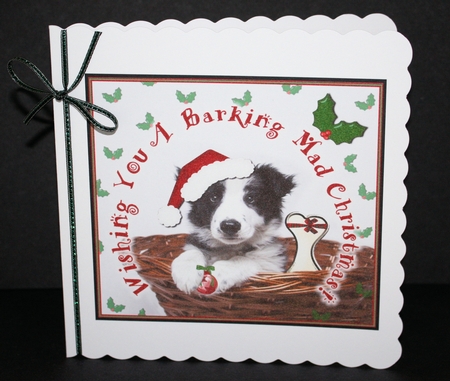 Barking Mad Christmas 2 by Marion Kimberley-Scott