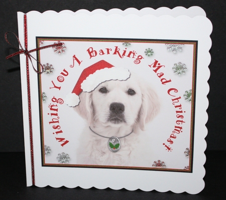 Barking Mad Christmas 2 by Marion Kimberley-Scott