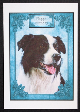 Border Collie Card Front, Topper & Sentiment Tags by Marion Kimberley-Scott