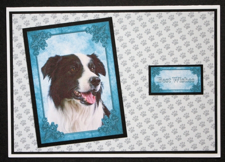 Border Collie Card Front, Topper & Sentiment Tags by Marion Kimberley-Scott