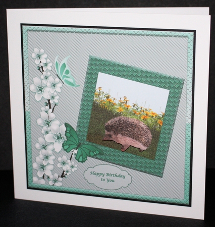 Cute hedgehog 8 x 8 card front by Marion Kimberley-Scott
