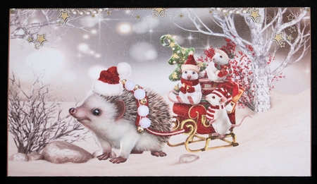 Hedgehog & Mice Christmas Sleigh Money Wallet by Marion Kimberley-Scott