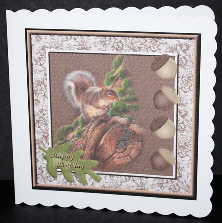 Squirrel Card Front by Marion Kimberley-Scott