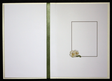 3 PRIMROSE FLORAL INSERTS: For Birthdays/Other Occasions, 1 Blank, 2 With Verse. by Marion Kimberley-Scott
