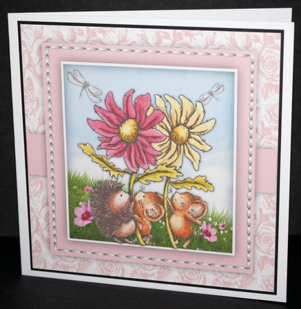 Daisy Fun by Marion Kimberley-Scott