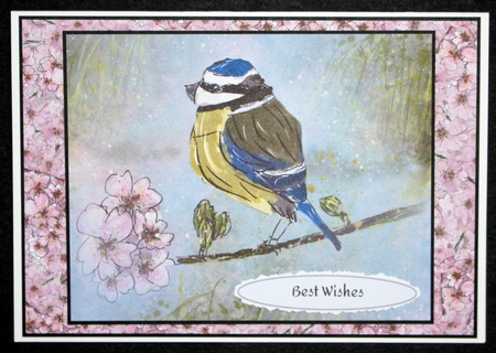 BLUE TIT & BLOSSOM: A4 Background/Backing Paper by Marion Kimberley-Scott