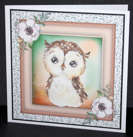 Beautiful Water coloured Owl by Marion Kimberley-Scott