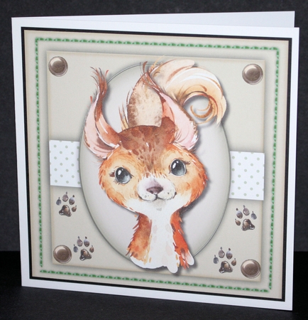 Cute R3d Squirrel by Marion Kimberley-Scott