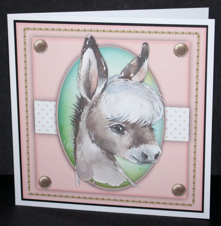 Lovely Young Donkey by Marion Kimberley-Scott