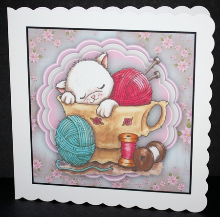 Woolcup Kitty by Marion Kimberley-Scott