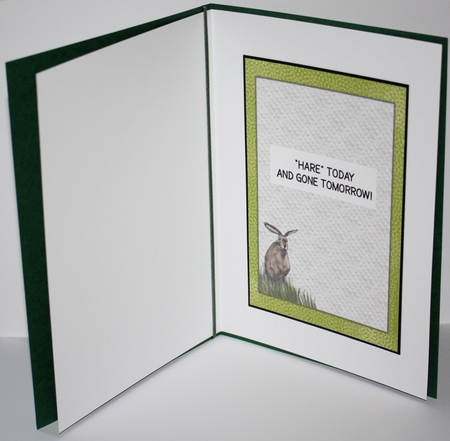 HARE TODAY & GONE TOMORROW: Funny 5x7 Birthday Quick Card & Insert, With Decoupage by Marion Kimberley-Scott