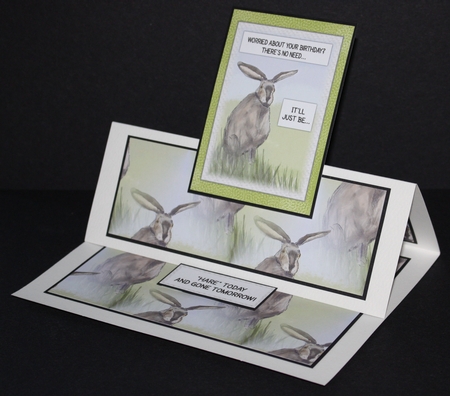 HARE TODAY & GONE TOMORROW: Funny 5x7 Birthday Quick Card & Insert, With Decoupage by Marion Kimberley-Scott