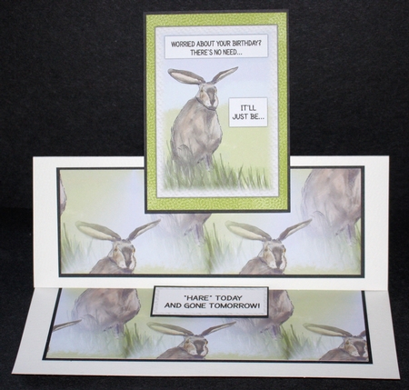 HARE: A4 Background Paper/Backing Paper With Commercial Use by Marion Kimberley-Scott