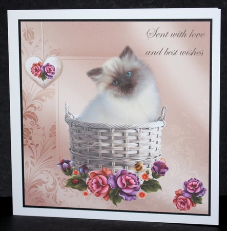 Kitten in a basket by Marion Kimberley-Scott