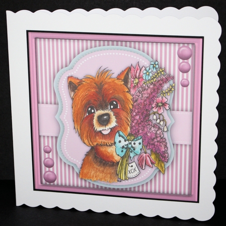 Adorable Terrier Treats by Marion Kimberley-Scott