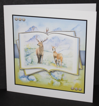 Nature Photography Open Book by Marion Kimberley-Scott