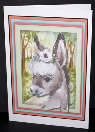 Cute Little Donkey by Marion Kimberley-Scott