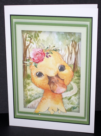 Cute Little Duckling  by Marion Kimberley-Scott