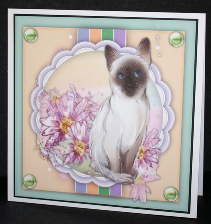 Beautiful Siamese and Lilac Flowers by Marion Kimberley-Scott