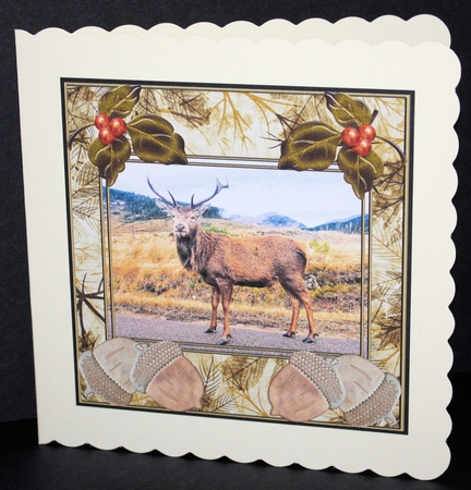 Glen Etive Stag 2 by Marion Kimberley-Scott
