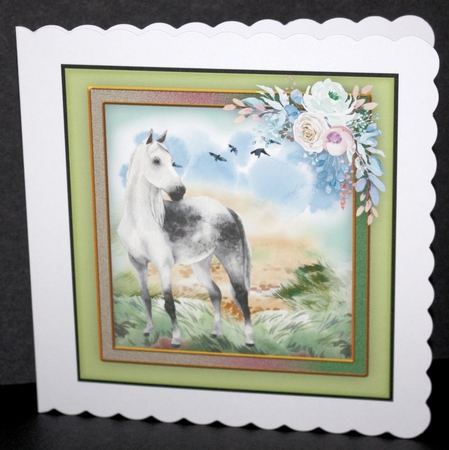 Beautiful Horse on the Moor by Marion Kimberley-Scott