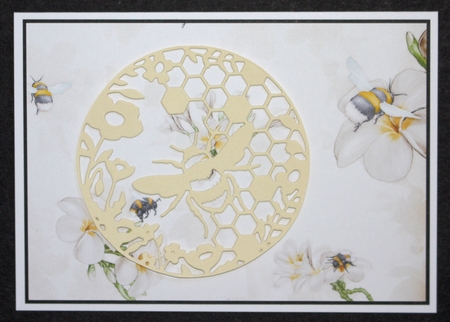 Bee Life Backing Paper Cream by Marion Kimberley-Scott