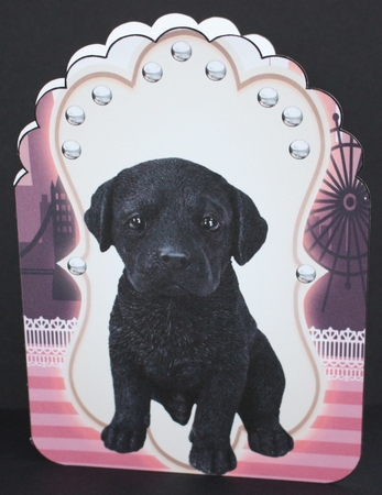 black lab pup by Marion Kimberley-Scott