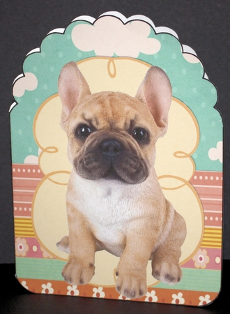 French bulldog Pup by Marion Kimberley-Scott