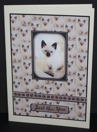 Kittens Topper & Background Bumper Kit by Marion Kimberley-Scott