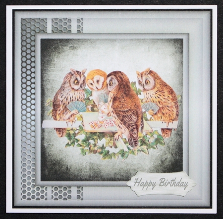 Wise Owls by Marion Kimberley-Scott